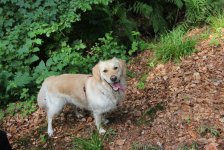 53_gc_stammtisch_27_20150506